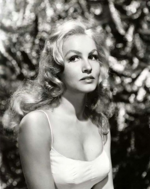 XXX denverbob:  julie newmar photo