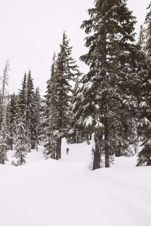 Mt. Bachelor 