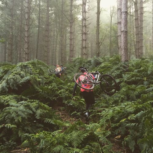 crossgram: Gorillas in the mist! #ramcc #ramcx #cyclocross #cycling by neilhalliday ift.tt/1K