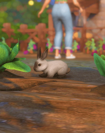 🌱🐇 