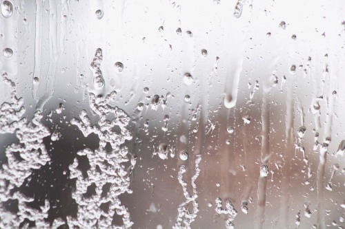 pretty-inspired-rooms: I took pictures during a huge ice storm in the middle of april but it was wor