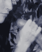 cherrypie119:  oldies but goldies