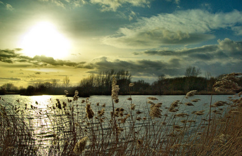 Watermead Country Park, Leicester on Flickr.