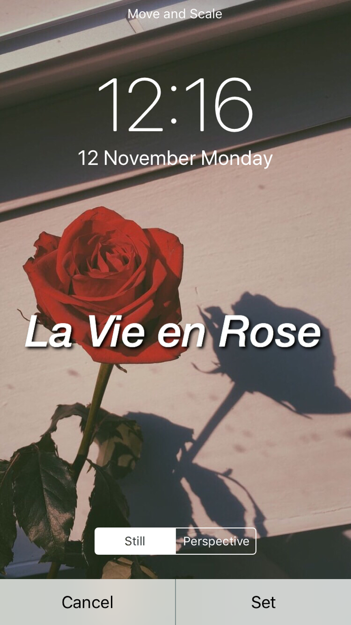 Lockscreens Icons Iz One La Vie En Rose Lyrics Lockscreens Like