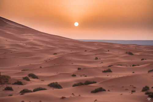 Sahara sunrise.