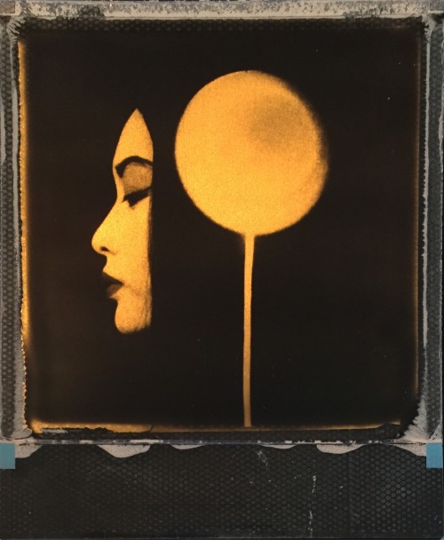 andrewmillarpolaroid:Lucid Dreaming 24crt gold leaf collage