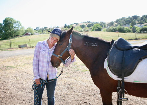 equine-awareness:  Save a Life, Adopt a Mustang!Every year, massive amounts of wild Mustangs that roam America’s last remaining frontiers are rounded up by the government as a form of population management and “pest control.” The debate over this