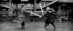 taichi-kungfu-online:The real martial artist (donnie yen) can only do so wonderful performance!