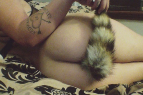 dirtyyheartsss:  I wasn’t going to post anything  But my tail makes me feel too cute Whenever I’m a good girl now I get pats 