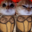 itsnotmortalkombat