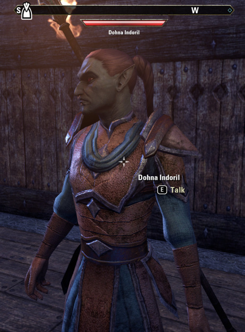 i can’t believe tanval indoril’s identical twin brother showed up in eastmarch