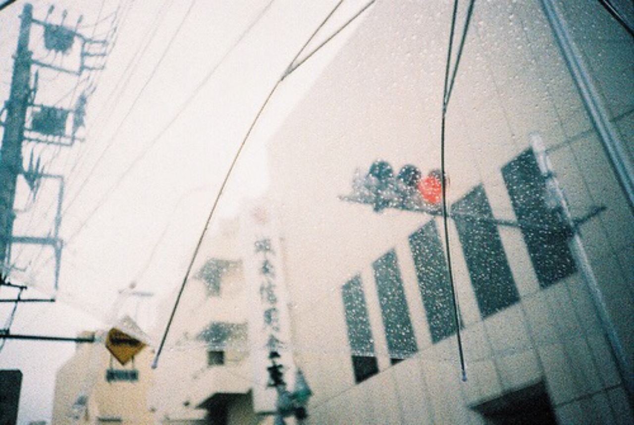 Rain and Coffee — pluviobrew: seeing through a bubble umbrella