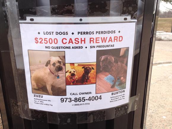 cheyberry1:  ***PLEASE SIGNAL BOOST*** So a lady’s home in the West End of Hartford
