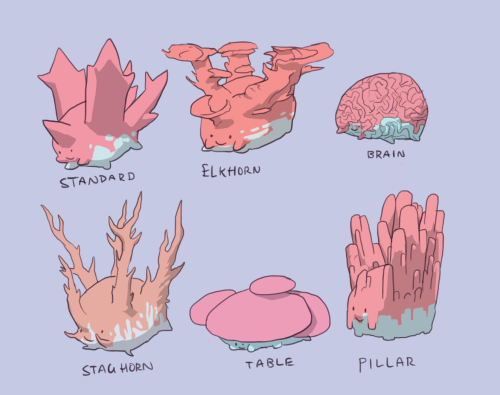 astyrra:different corsola based on different coral!!! i am so excited to jump on this bandwagon