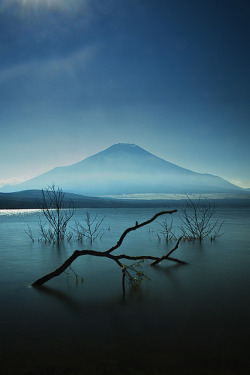 -fuckthisscene:  Mt. Fuji by bsmethers on Flickr. 