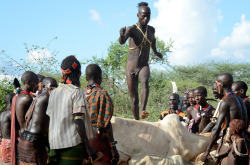 Hamar boy bull jumping, by Jean-Christophe