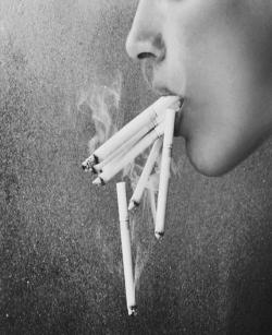 The only real elegance is in the mind