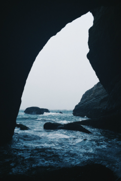 expressions-of-nature:  by therealhershey