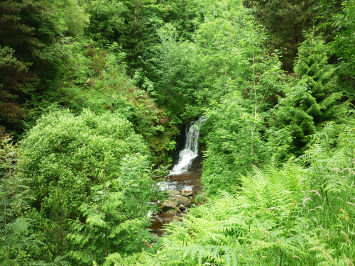 Pen Pych, Cwm Rhondda