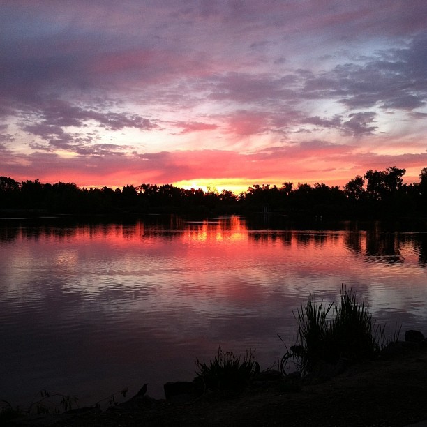 lovinglovelylesbians:  Good morning Fort Collins. #nofilter #sunrise #allnightdrinking