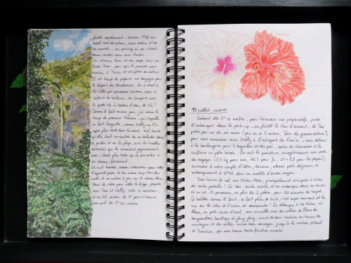 chasbook