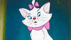 animation-magic:  disney meme: [1/6] animals/non-human characters » marie (the aristocats) 