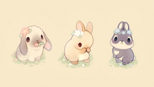 fluffysheeps:It’s a bunny kind of day 🐇🌼