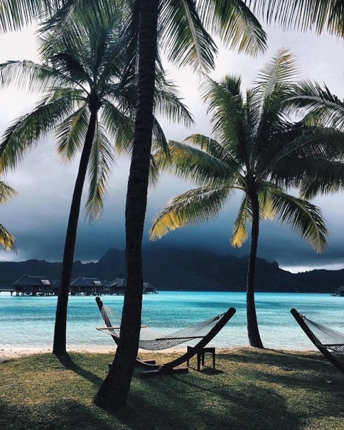 the-ocean-paradise:sunkissed & sandy