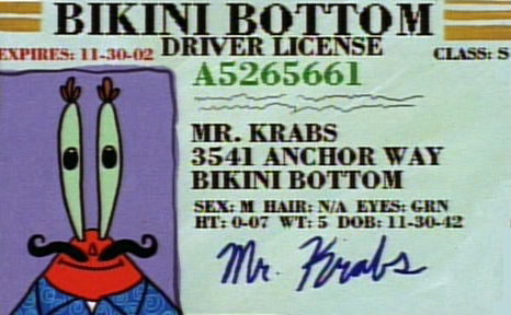 omgitsthatgingergirl: obscuruslupa:  heyitspj:  heyitspj:  Mr Krabs canonically served in the navy and fought in a war but we know nothing about that  if we go by his drivers lisence krabs was born in 1942. the youngest he could have possibly been to