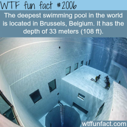 wtf-fun-factss:  The deepest swimming pool