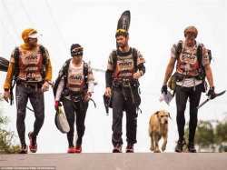 Stray dog joins adventure race team, follows them for a 430 mile long race. Gets adopted afterwards.