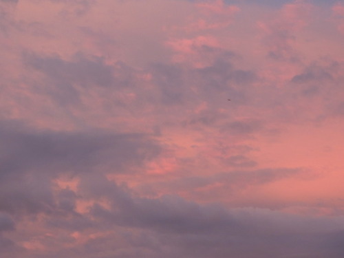 peachisty:the way the sky remains equally breathtaking even when it changes its colors ever so often