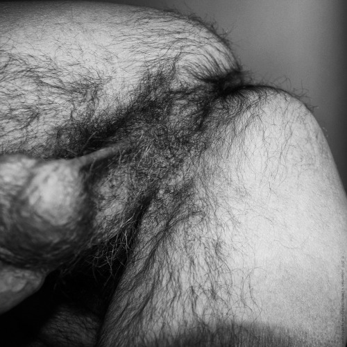 Sex asodomite:  Hairy and hot, love that hairy pictures