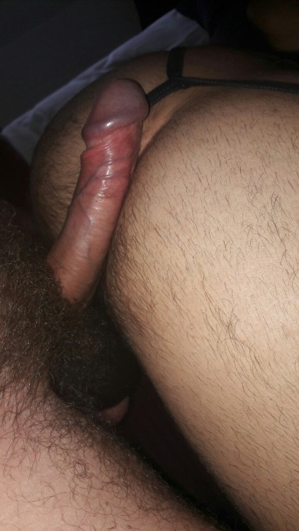 hairycock1981: My cock loves the ass of my guy !