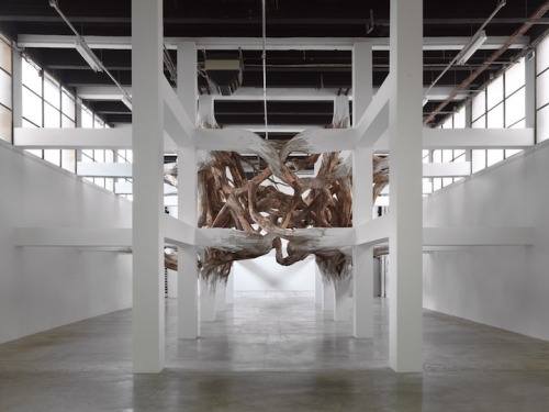 wetheurban:   ART: Baitogogo by Henrique Oliveira Brazilian artist Henrique Oliveira is known for his works that use organic forms for sculptural pieces and installations. He brings his signature style to the Palais de Tokyo in his piece “Baitogogo,”