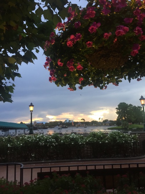 lipglosse:Sunsets in a happier place