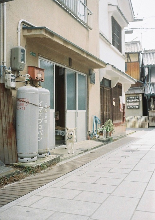 Takehara-Town,Japan