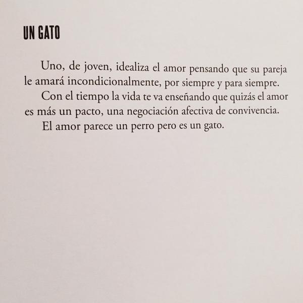 huelesalluvia: Rafa Pons 