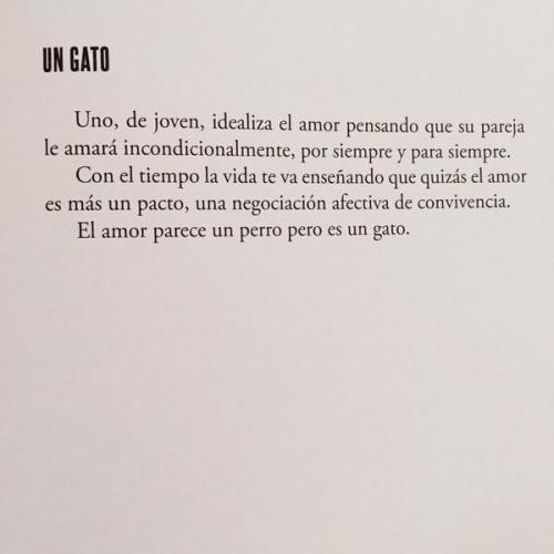 huelesalluvia:  Rafa Pons 