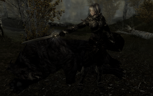 Mage Outfit Texture Overhaul (HD 2K) - MOTO - With Schools of MagicaMidianBorn Elven Armor大学ローブとエルフの