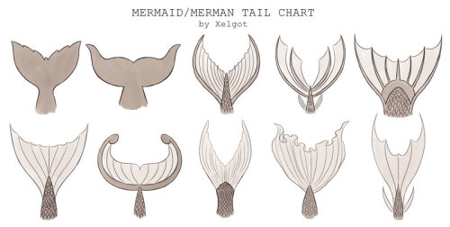 Notes from Under the Bed — drawingden: Mermaid/Merman Tail chart