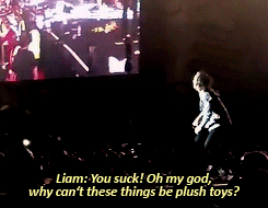 16meets18history: Harry: If you have anything you wanna throw on stage, I’m gonna give you a 1