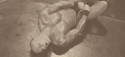 randy-theviper-orton:  Someone said that he looks seductively even when he’s hurt/knocked out, so i decided to make this lol