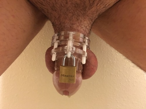 Sex Chastity SLAVE in Japan pictures