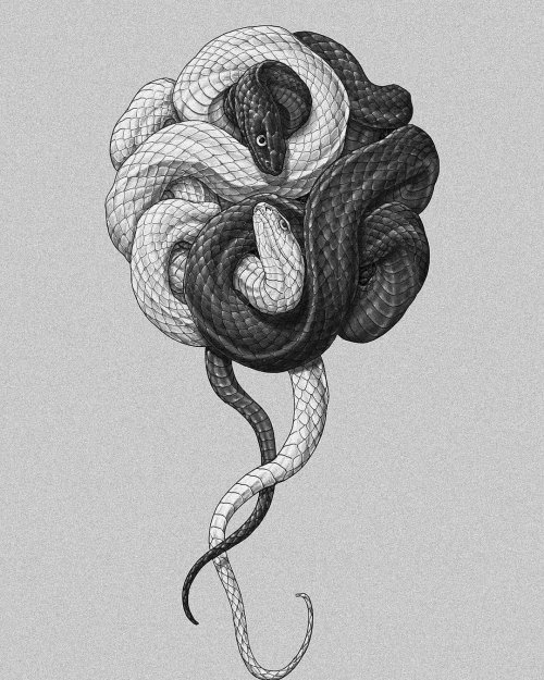 talonabraxas: Yin Yang Snake, YINTAT