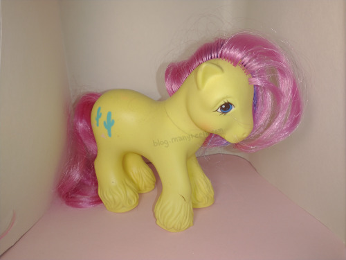 thrift store ponies!!i wanted to catalog all of my MLP figures, all of which i’ve found at various s