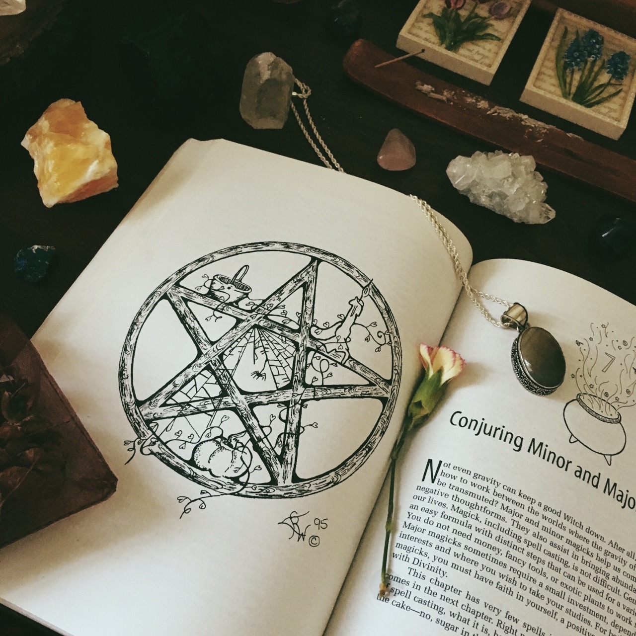 laicawitch: Found another one of my old books, I completely forgot I had this but