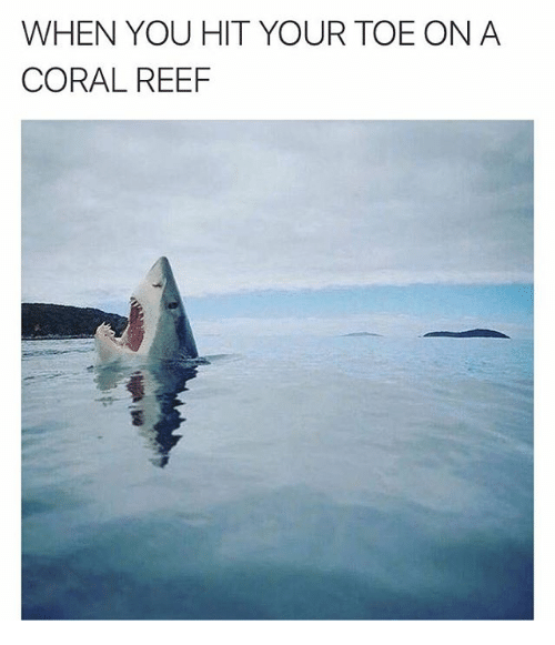 Why is this so funny? :D