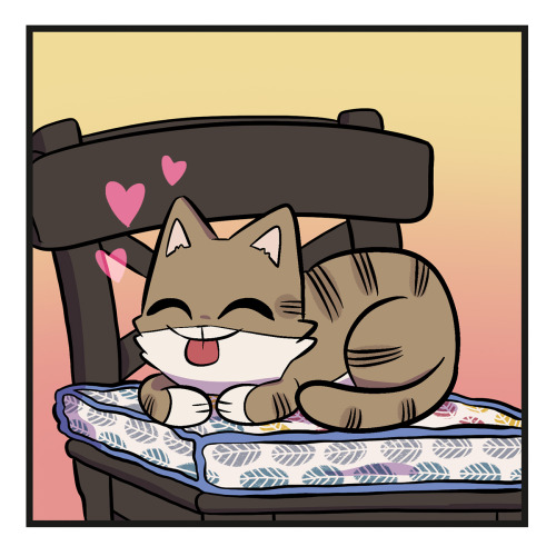 A special double length comic about Wilson and his fave new cushion! Swipe to the end to see a photo