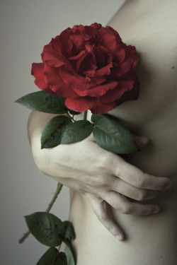 elisascascitelli:  &ldquo;Thorns in the Heart&rdquo; (Source): https://www.flickr.com/photos/elisascascitelli/14372564177/ 